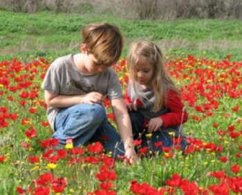 דרום אדום 2010