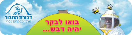 אטרקציות ופעילויות לילדים בצפון