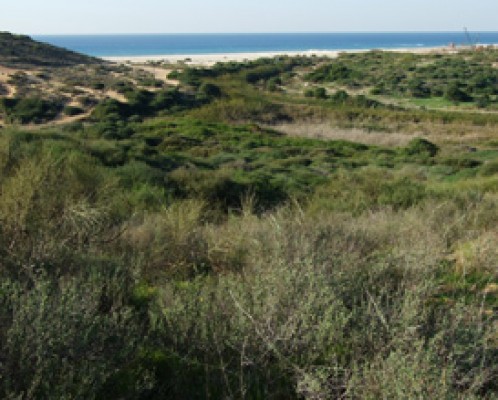 האיומים על השטחים הפתוחים