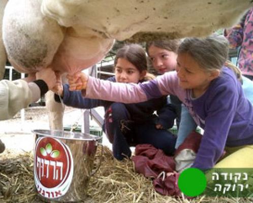 נקודות ירוקות