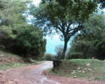 1092-carmel-road.jpg