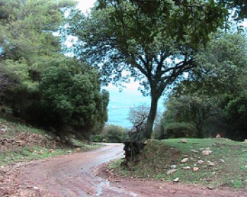 1092-carmel-road.jpg טיולים עם ילדים - עם מדריכי קקל