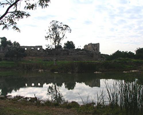 שמורת תל אפק. רשות הטבע והגנים. 