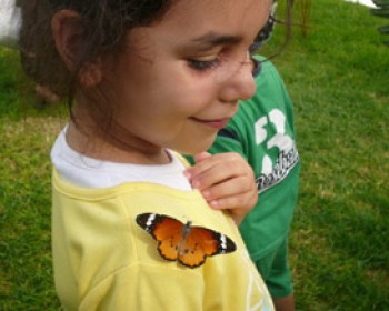 11351-butterfly-2009.jpg שבועות בקיסריה