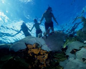 117664-eilat-reef.jpg מופעי יום העצמאות באילת