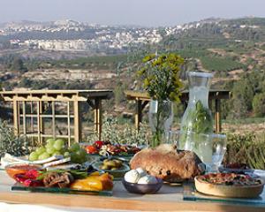 120796-tzuba2008.jpg אירועי שבועות בקיבוץ צובה