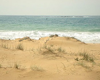 מצילים את חוף בצת