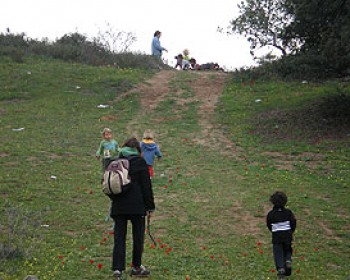 נחל עקרבים למיטבי לכת