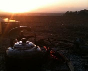 פסטיבל הפינג'אן הבדואי