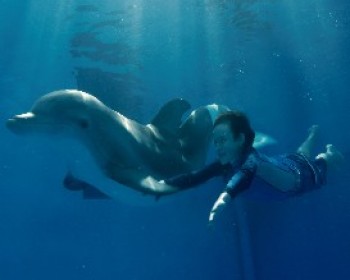 1645-DTFMC-00085.JPG סיפורו של דולפין - הסרט