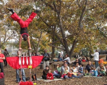 164655-asaf2.jpg אסף קלי קלות