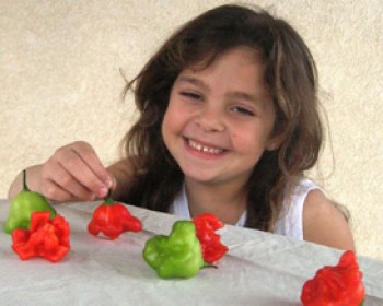 164862-pilpel.jpg סיורי חנוכה בערבה