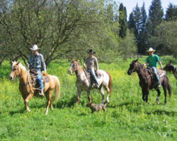 165740-dobe-ranch.jpg הפנינג המערב הפרוע