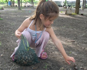 פעילויות לילדים בארץ האגוזים