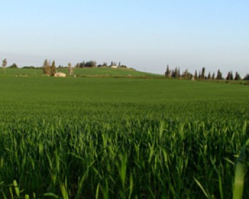 קסם הגבעות האחרונות