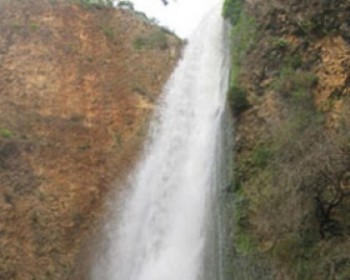 184143-ayun.jpg פריחות בשמורת טבע נחל עיון