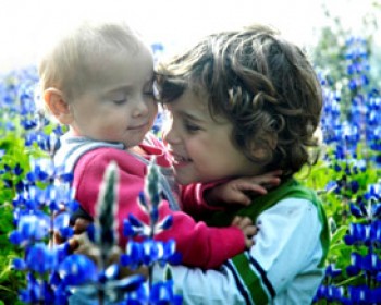 196392-deeppurple.jpg תורמוסים בצפון