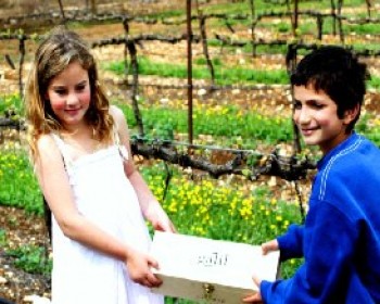 1975-Treasure-Hunt-Galil-Mountain-Winery.JPG מטמון תיבות היין בגליל- אירועי פסח 2012