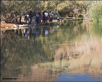 198752-deadsea-israel.jpg פסטיבל אהבה בים המלח