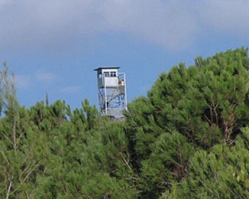 202414-kkl.jpg טיולי קק"ל במאי