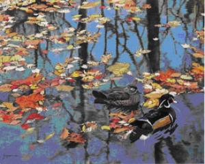 21678-havra-lehagant.jpg טיולי סופ''ש מהחברה להגנת הטבע