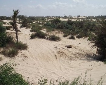 טיולי משפחות עם החברה להגנת הטבע