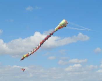 2577-newyearkite.jpg טיולי משפחות עם רשות הטבע והגנים במרכז