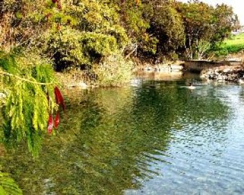 2578-Spring-Festival.JPG פסטיבל המעיינות – אירועי סוכות 2012