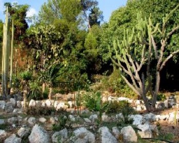 2600-Botanical-Garden-at-Oranim.JPG סיורים מודרכים בגן הבוטני במכללת אורנים