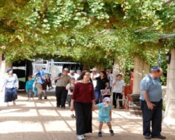 2618-Binyamina-Winery.JPG פעילות סוכות ביקבי בנימינה – טיולי סוכות 2012