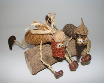 הכדור בידיים שלנו 2010