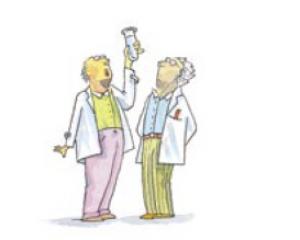 חכמים גם בלילה