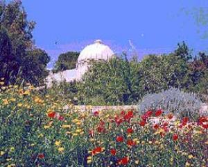 29376-the-botanik-garden.jpg פורים בגן הבוטני