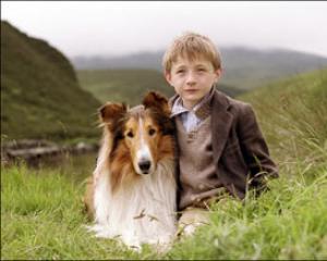 29743-lasi.jpg לאסי