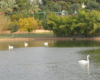 326874-PARKRAANANA.jpg חגיגת הכליזמרים ה-20 באמפי פארק רעננה