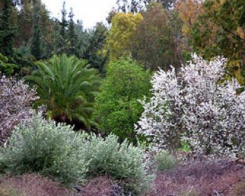 3279-TRAVEL-WITH-KIDS.jpg טיולים ופעילויות לילדים עם קרן קיימת לישראל