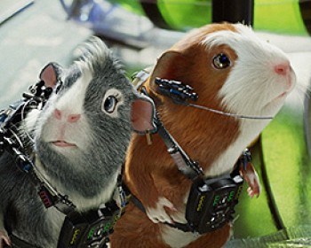 329164-G-Force-walt-disney.jpg כוח G