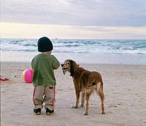 עם הפנים לים - צעדת הרצליה