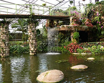 338436-otopia-park.jpg סוכת הסחלבים באוטופיה