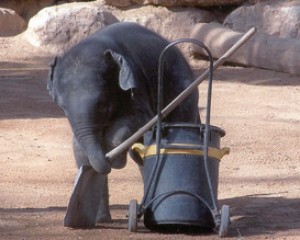 רגעים מרגשים בגן החיות
