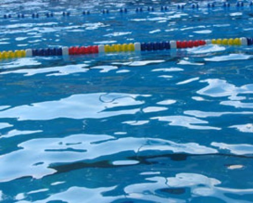 356313-swimming-pool.jpg