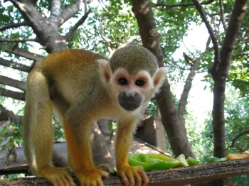 356735-108_0813.jpg הגדה של פארק