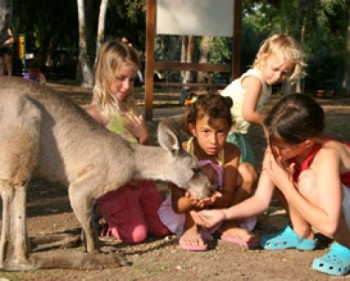 356814-ganguru09.jpg פסח בחינם עם בנק הפועלים 2010 בכל הארץ