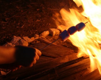 357070-lag-baomer.jpg פעילות לילדים בירושלים