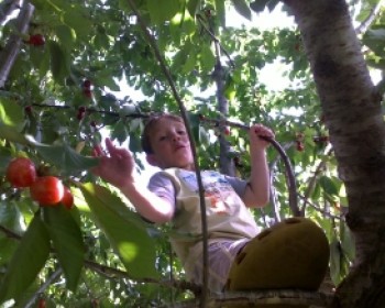 טיול לשבת לכל המשפחה - חורש