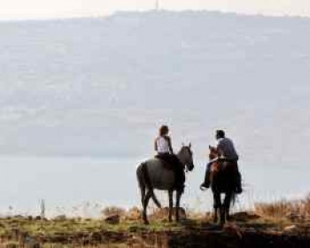 357278-vered-hagalil.jpg פעילויות לקיץ לילדים ולמשפחות בגליל