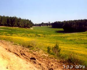 35741-Benshemen.jpg נס גדול היה פה - חנוכה בפארק איילון קנדה