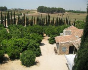 357634-orchard.jpg הפנינג סוכות באתר הפרדסנות ע"ש מינקוב