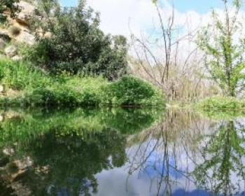 357708-gush-etzion.JPG פסטיבל סוכות בגוש עציון