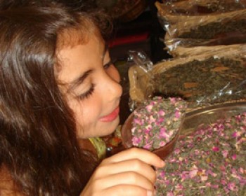 357822-rozes.jpg פעילות לילדים בחוות תבלין